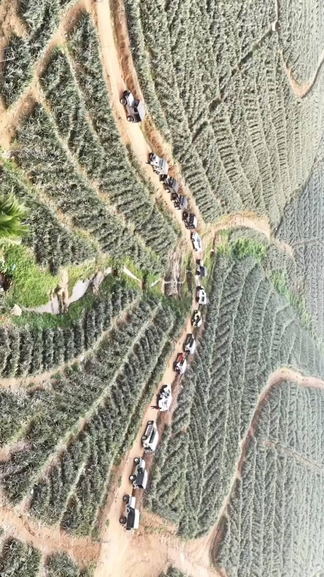 Convoy From Above
