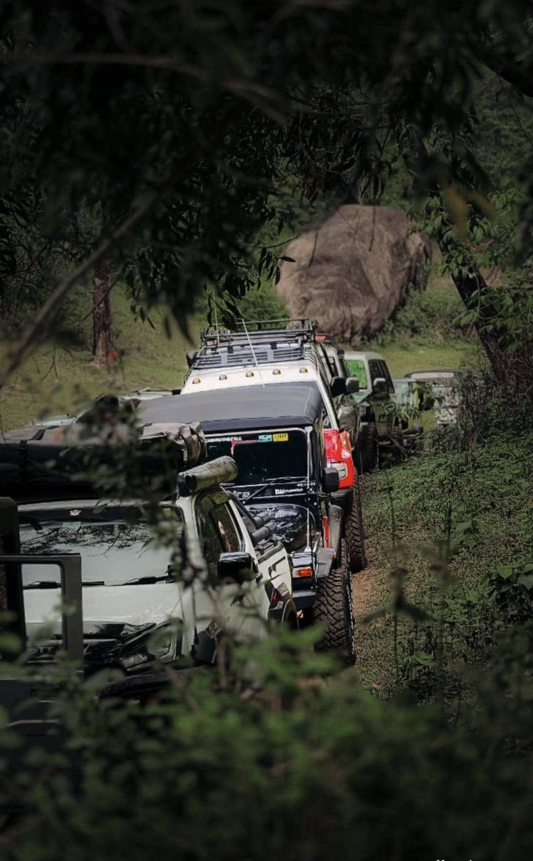 Forest Convoy